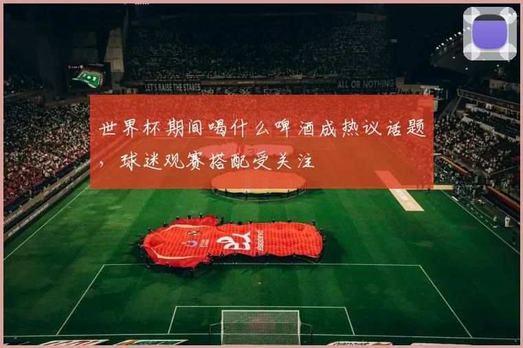 世界杯期间喝什么啤酒成热议话题,球迷观赛搭配受关注