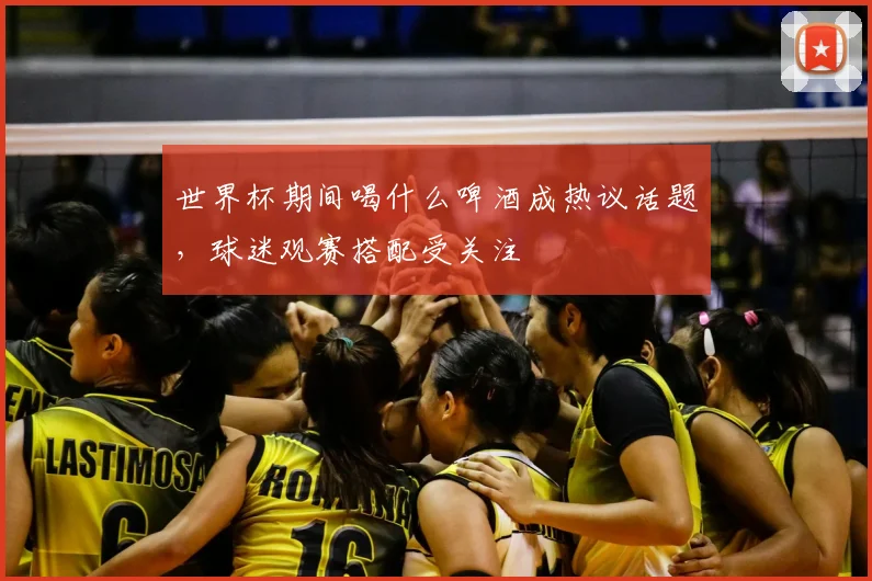 世界杯期间喝什么啤酒成热议话题,球迷观赛搭配受关注
