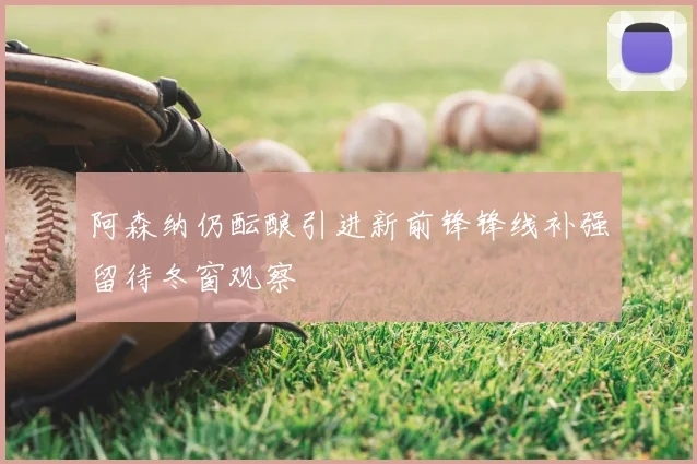 阿森纳仍酝酿引进新前锋锋线补强留待冬窗观察