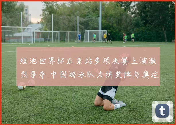 短池世界杯东京站多项决赛上演激烈争夺 中国游泳队力拼奖牌与奥运席位