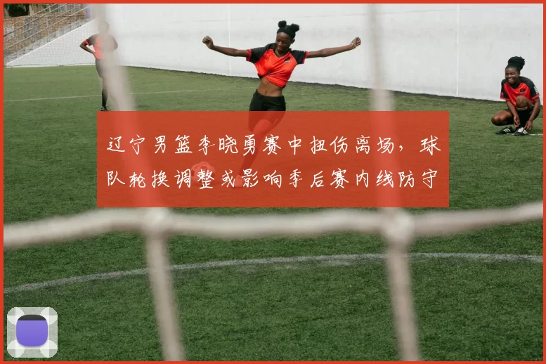 辽宁男篮李晓勇赛中扭伤离场，球队轮换调整或影响季后赛内线防守