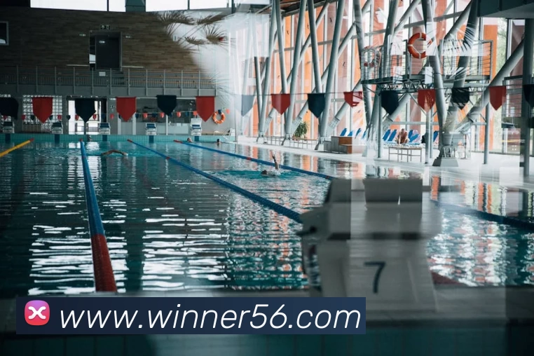 必一(运动科技有限公司)官方网站 - B·Sport发展历程